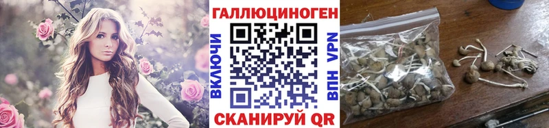 мориарти Telegram  Безенчук  Псилоцибиновые грибы прущие грибы 