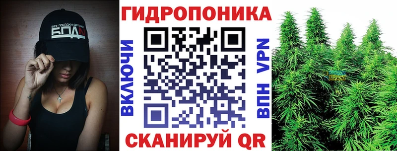 Конопля сатива  Безенчук 